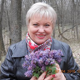 ���� �������, �������, 66 ��� - ��������� 20 ������� 2016