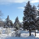 ���� Aleksandr, �����������, 64 ���� - ��������� 19 ������� 2016 � ������ ���� ����������