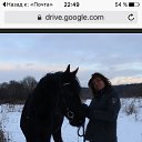 ���� ������, ������, 51 ��� - ��������� 10 ������� 2016 � ������ ���� ����������