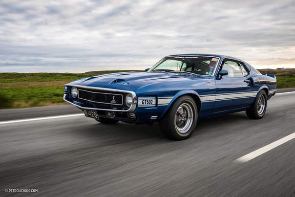 1969 Shelby GT500 - 5