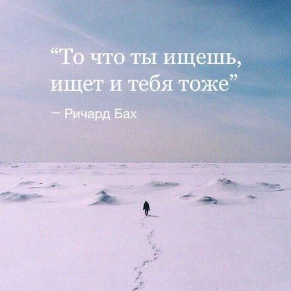 BEST | , ,  - 23  2016  21:07