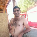  Sargis, , 55  -  25  2017