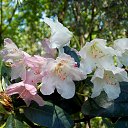 22.05.2016 �� ������� �������� ������������ ���.�