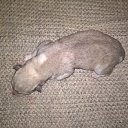 ���� �����, ������, 52 ���� - ��������� 30 ������� 2016 � ������ ���� ����������