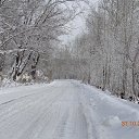 ���� �������, ����������� - ��������� 1 ������ 2016 � ������ ���� ����������