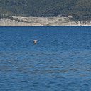 ���� �������, ������������, 46 ��� - ��������� 6 ������� 2016 � ������ ���� ����������