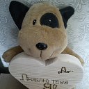 ���� N@t@, ����������� - ��������� 14 �������� 2016