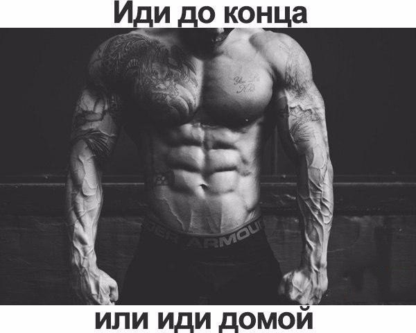  -   - 17  2016  16:46