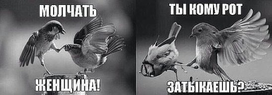 -  ,   ..... -   ??? - Z ...!!! )))