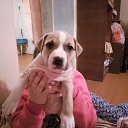 ����� ���� ������ �� ������� ���� ����������