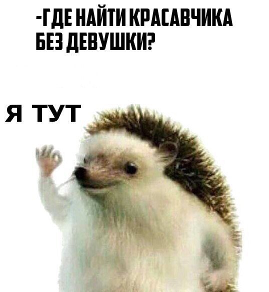    ! - 14  2017  14:39