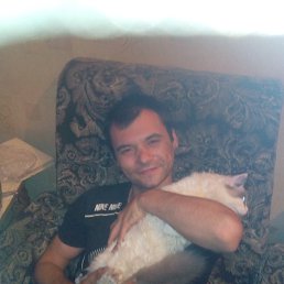 �������, �������, 39 ���