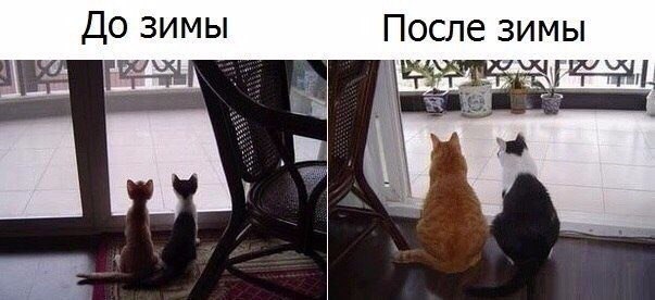  - 24  2016  01:01