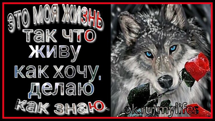 Антошка @@@ - 19 марта 2017 в 10:04