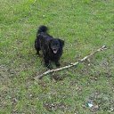 ���� ��������, ������ �����, 78 ��� - ��������� 24 ������� 2017