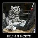 ���� ��������, ������, 49 ��� - ��������� 28 ������� 2016 � ������ ������ ��������