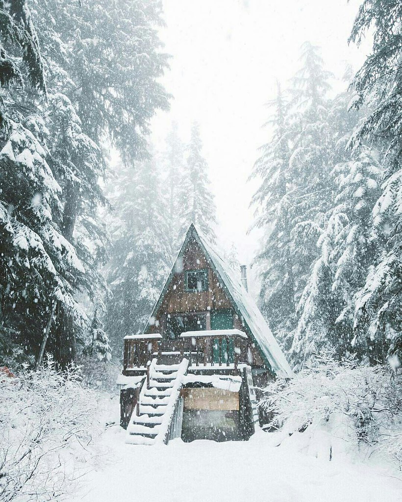 W O R L D - 5  2017  15:21