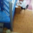 ���� ������, ���������, 56 ��� - ��������� 22 ������� 2017 � ������ ���� ����������