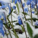 ���� Mihail, ������������, 53 ���� - ��������� 27 ����� 2017 � ������ ������ ��������