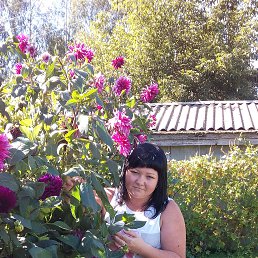 ���� �����, �������� - ��������� 20 ������� 2016