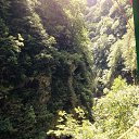 ���� Hamit, ��������� - ��������� 24 �������� 2016 � ������ ���� ����������