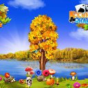 ���� �������, ������, 57 ��� - ��������� 2 ������� 2016 � ������ �������� �������-�������