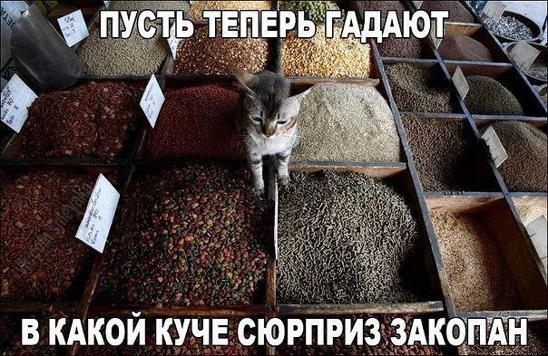    :-) - 27  2016  10:01
