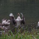 ���� ��������, ����� - ��������� 2 ������ 2016 � ������ ���� ����������