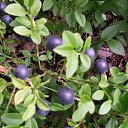 ���� ���������, ������ - ��������� 25 �������� 2016 � ������ ���������� ������