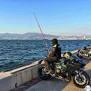 ���� ����&nbsp;������������, ����, 43 ���� - ��������� 15 ������� 2016