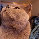 ���� �����, ���������, 62 ���� - ��������� 13 ������ 2017 � ������ ���������