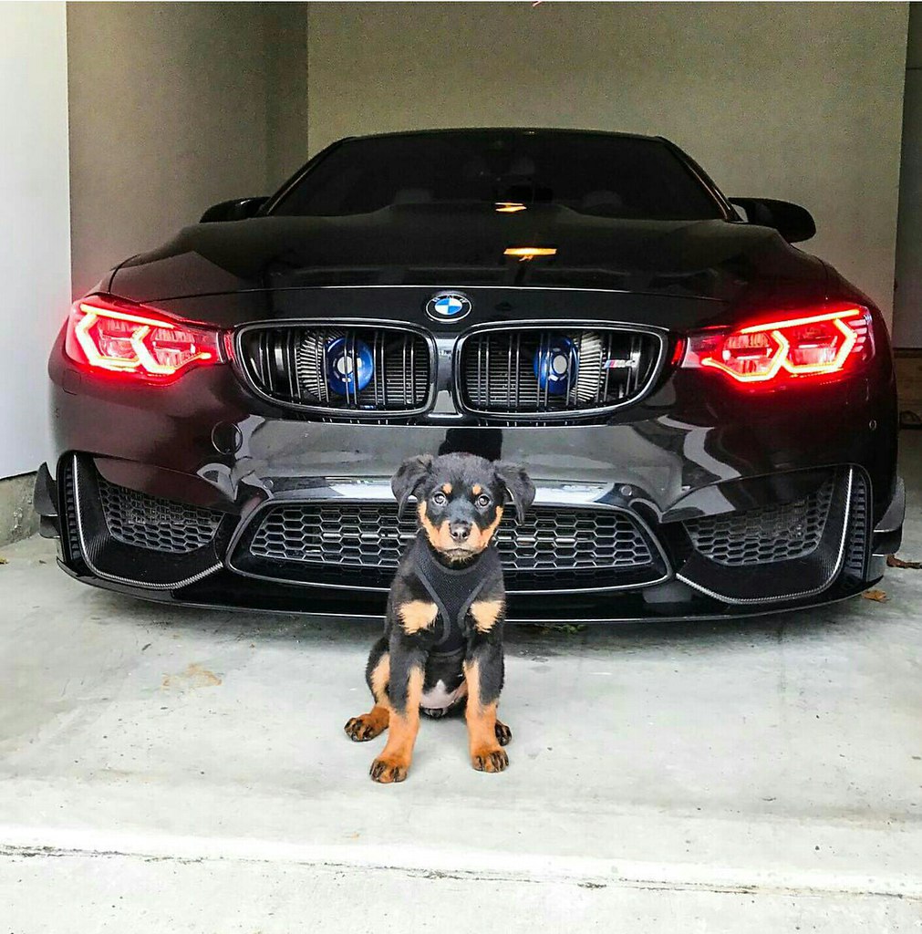 Крутые картинки bmw