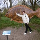 ���� �������, �����������, 66 ��� - ��������� 18 ������� 2016 � ������ ���� ����������