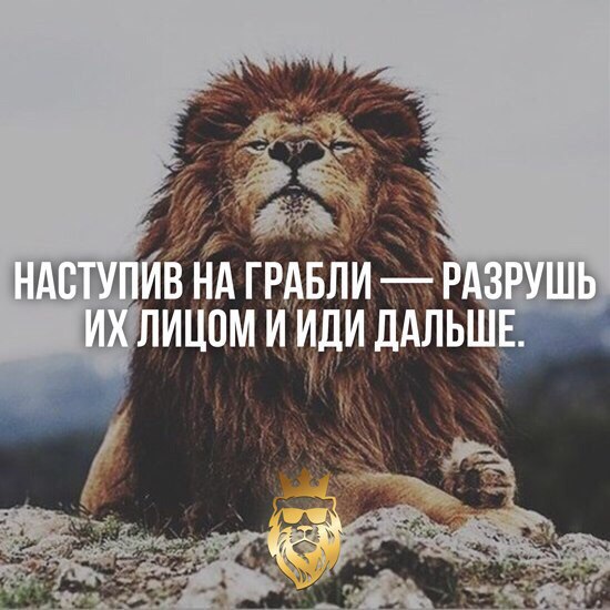 -   - 14  2017  13:48
