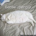 ���� ���, ����-��� - ��������� 28 �������� 2016