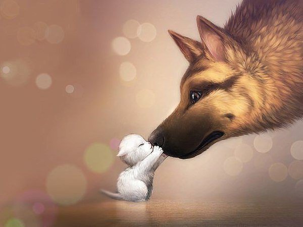 Я не знаю другого признака величия, как доброта. Людвиг ван Бетховен