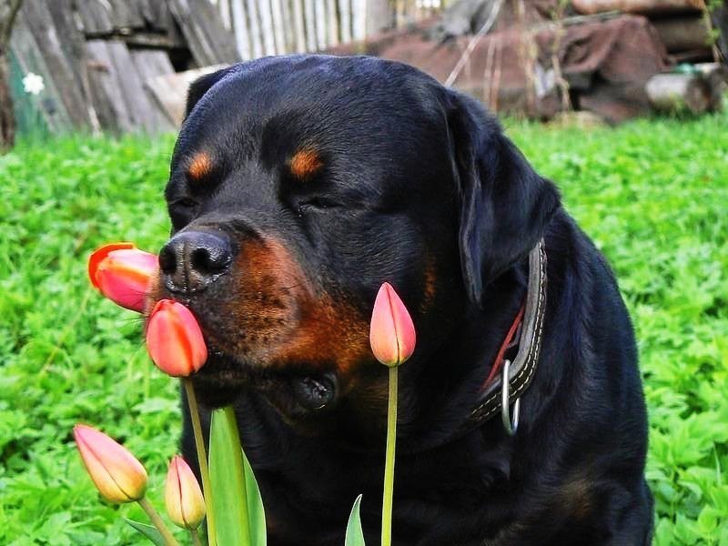       ...  ,      :)