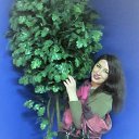 ���� �����, ���������, 40 ��� - ��������� 4 ������ 2017 � ������ ���� ����������