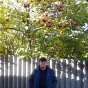 ���� ���������., ����, 60 ��� - ��������� 7 ����� 2017 � ������ ���� ����������