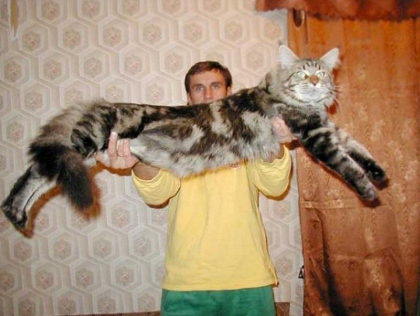 , ))) - 6