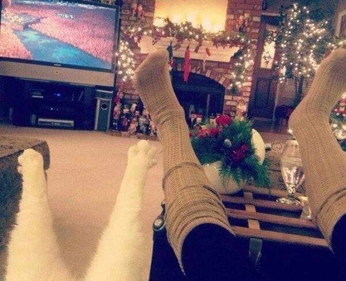 � ����� ��� � ���� ��������� � �������.#����������@ican