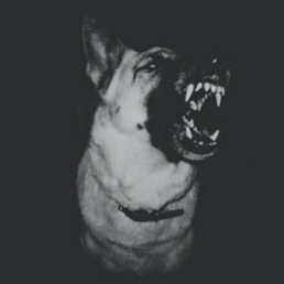 ���� ������, ������, 25 ��� - ��������� 6 ������ 2017