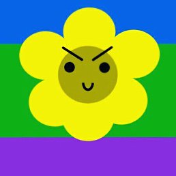 ���, �����������, 28 ���