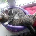 ���� ��������, ������ - ��������� 5 ������� 2016 � ������ ���� ����������