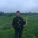 ���� ����, �������, 42 ���� - ��������� 19 ����� 2017 � ������ ���� ����������