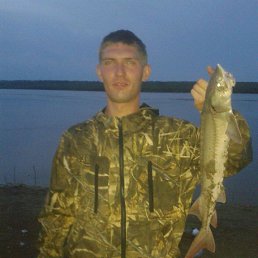 �leksandr, ����, 38 ���