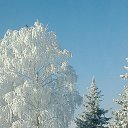 ���� �������, ������ - ��������� 29 ������ 2017