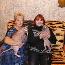 � �������... �� ������� ���� ����������