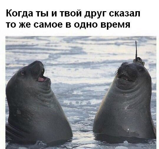 ? ,  ! - 27  2016  17:55