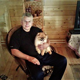 �������, �����, 62 ����